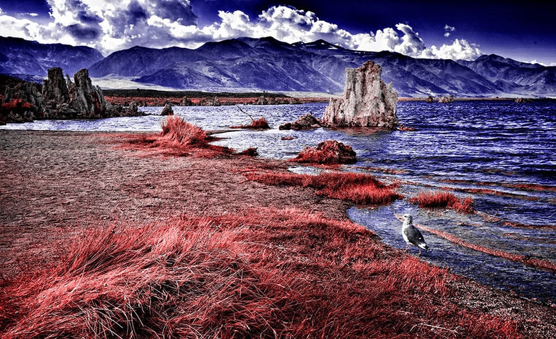 115 - MONO LAKE SHORELINE - POTTS GARY - united states.jpg